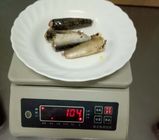125g netto Gewichts Ingeblikte Sardines in Plantaardige olie Rijke Diverse Voeding