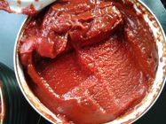 Koude Onderbreking Ingeblikte Tomatenpuree zonder Eigenaardige Geur en Bewaarmiddelen