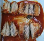 Privé Etiket Atlantische Makreel Ingeblikte Vissen in Tomatensaus zonder Spaanse peperpeper