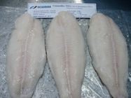 Heerlijke Massa Bevroren Vissen Bevroren Pangasius-Filet/Basa-Vissen van Vietnam