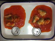 50 Ingeblikte de Sardinesvissen van X 155g in Tomatensaus met Hete Spaanse peper