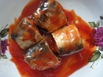 De zuivere Makreel blikte Vissen in Tomatensaus/Pekel/Olie Uitstekende Fijne Smaak in