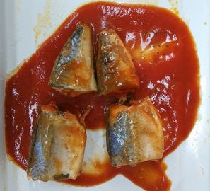 De zachte Smaakmakreel Ingeblikte Vissen/blikten Makreel in Tomatensaus in Geen Onzuiverheid