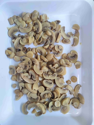 Verse 10,2 Kg Ingeblikte Gecultiveerde Champignonpaddestoel