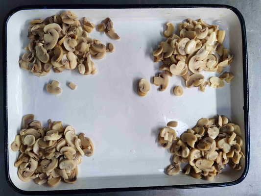 24 maanden houdbaarheidsduur Water in blik Champignon product