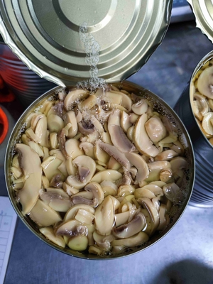 Het originele Aroma blikte de Koele & Droge Opslag PH 4.5-6.5 van de Champignonpaddestoel in