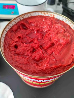 Fresh Canned Tomato Paste 70-400g China Origin
