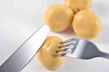 400g de zuivere Paddestoel van de Natuurlijk Aroma Ingeblikte Champignon