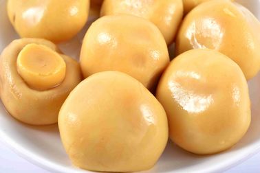 425g/200g hoogwaardige Ingeblikte Champignonpaddestoel in Pekel