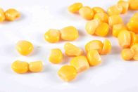 Gouden Gele Ingeblikte Suikermaïspit met Gemakkelijk Open Goedgekeurd Deksel HACCP