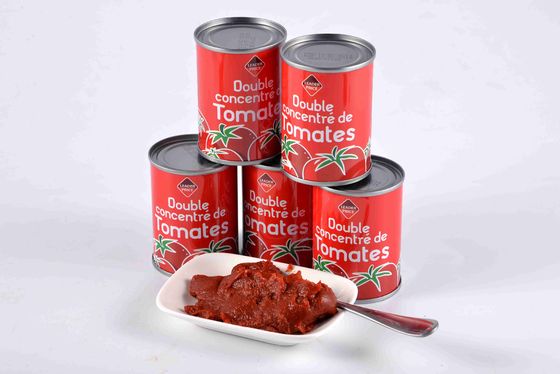 Concentratie van ingeblikte tomatensaus voor klantvereisten