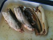 De EU Verklaarde Makreel Ingeblikte Vissen in Pekel Hoog Hart Gezond Omega - 3 Vetzuren