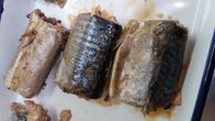 De EU Verklaarde Makreel Ingeblikte Vissen in Pekel Hoog Hart Gezond Omega - 3 Vetzuren