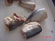Ingeblikte die Makreel in Pekel, Hefboommakreel in Tomatensaus Geen Kunstmatige Additieven wordt ingeblikt