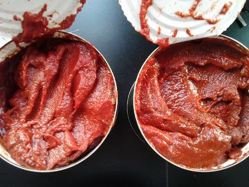 s Top-Notch Canned Tomato Paste Steamed Processing Type