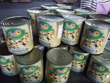 Ingeblikte Gehele Paddestoel in Tin 24*425ml/NW. 425g DW. 200g 180g of Grote Grootte