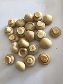 190g ingeblikte Gemeenschappelijke Cultivatea-Paddestoelgeheel/Stukken en Stammen