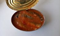 Ingeblikte Sardine in Tomatensaus Netto Gewicht 425G x 24 Lang Tin/Ovaal Tin