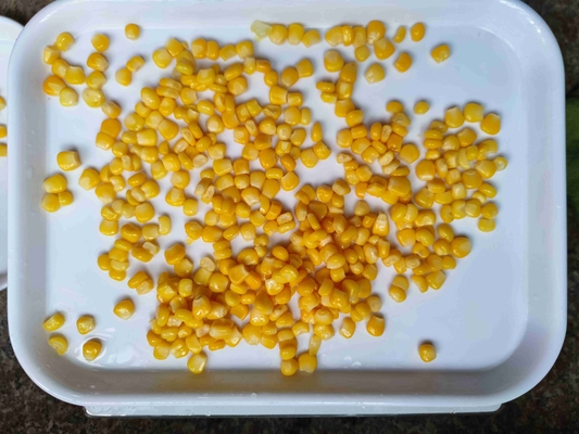 Handgeselecteerde superzoete ingeblikte gele maïs