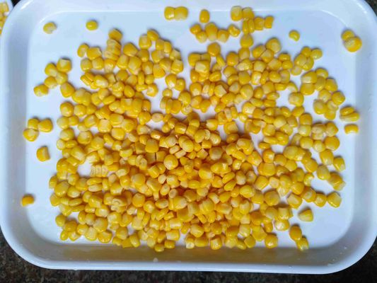Fresh Corn Material Canned Sweet Corn 425g X 24 Store In A Cool Environment Perfect For Food Processing