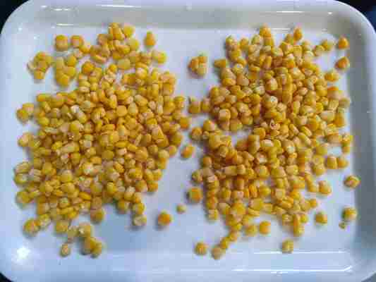 Vers maïs ingeblikt zoete maïs voor fruit en paddestoelen