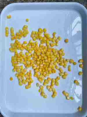 Klaar om te eten ingeblikte zoete maïs en perfect voor elk gerecht