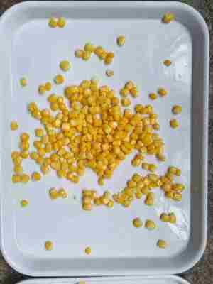 Deel Zoete Maïskorrels Ingeblikte Zoete Maïs Laad Allergieën Kan Sporen Van Soja En Tarwe Bevatten