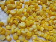 De ingeblikte Ingeblikte Graan Ingeblikte Suikermaïs van de Graanfabriek niet GMO in Tin A10