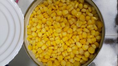 6/A10 het grote Tin blikte Suikermaïs 2840g in