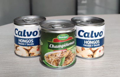 Zoute Ingeblikte de Champignonpaddestoel van het pekelbehoud