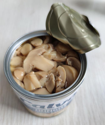 580ml 720ml sorteren een Ingeblikte Champignonpaddestoel met Zout Aroma