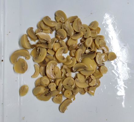 De ingeblikte Paddestoel van de Voedselchampignon Klaar om Vers & Heerlijk te eten