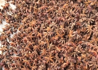 Nieuw Gewas Autumn Star Anise Seeds Natural