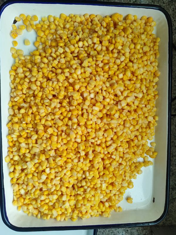 Gekruide ingeblikte suikermaïs voor de markt in het land