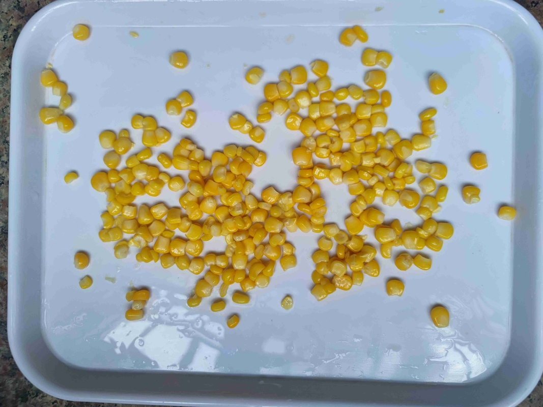 Voedzame Maïs in Blik 100% Rijpheid 7.5 9.0 Siroop Verpakt Met Essentiële Vitaminen En Mineralen