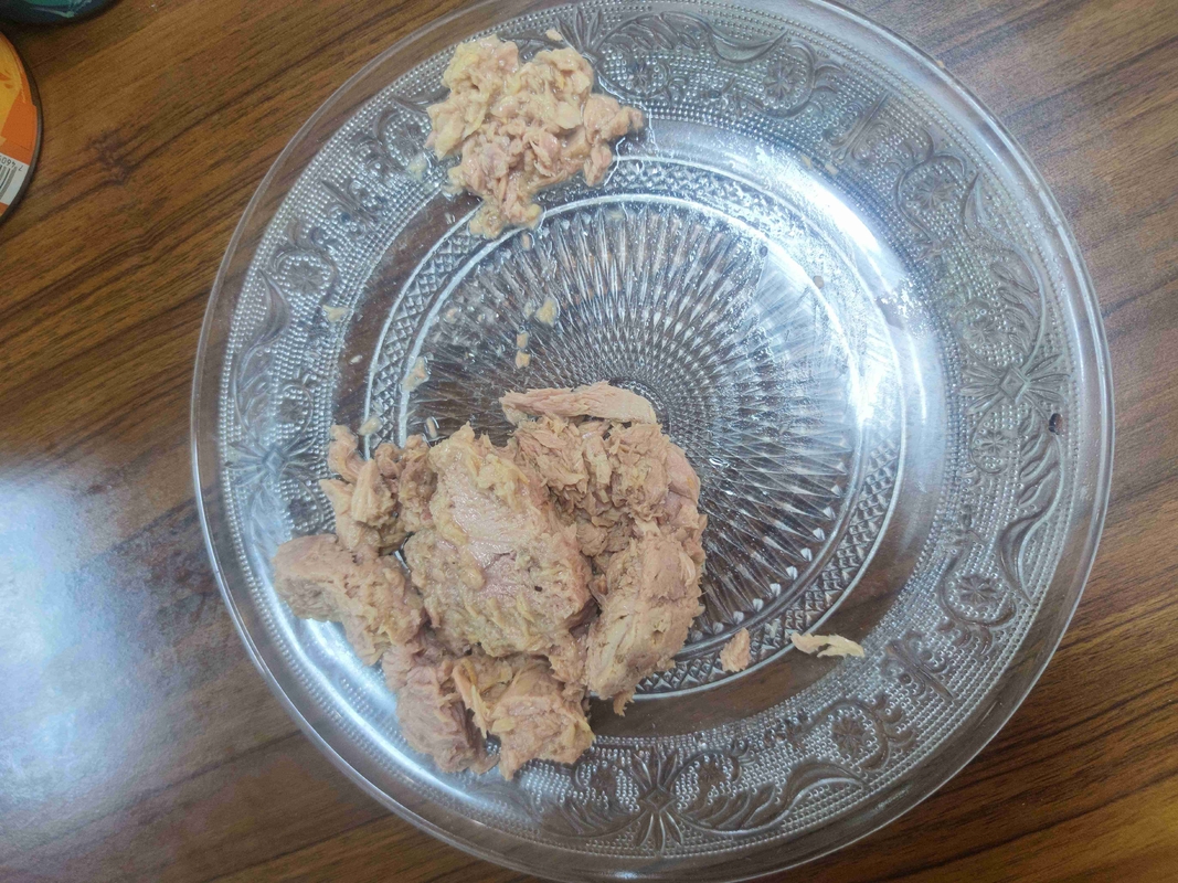 Waterverpakte tonijnbroodjes in olie Een heerlijke en voedzame toevoeging aan uw keuken