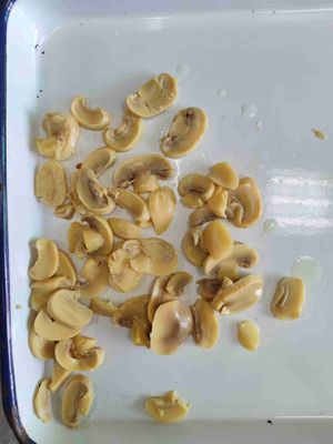 Smelteproces Bewaar paddenstoelen op een koele en droge plaats