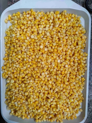 Niet-GGO-teeltsoort Gele maïs in blik en gekruid verwerkingssoort