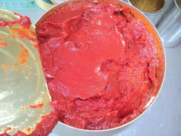 Fresh Tomatoes Canned Tomato Puree Perfect for Adding a Burst of Natural Tomato Flavor to Your Meals