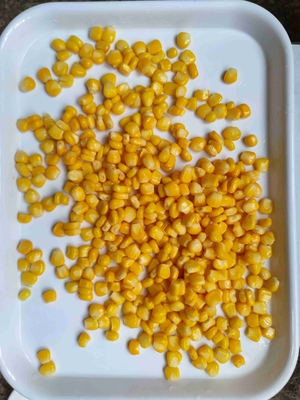 Top Quality Canned Sweet Corn with 2 Years Shelf Life and 1080 Cartons per 20 GP