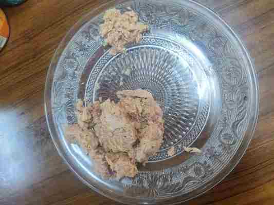 Waterverpakte tonijnbroodjes in olie Een heerlijke en voedzame toevoeging aan uw keuken