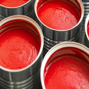 Handige tomatensaus uit blik, ideaal voor drukke en gezondheidsbewuste koks