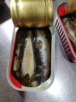 Eenvoudig open ingeblikte sardine visvariëteit Sardines Lekker en voedzaam voor elke maaltijd