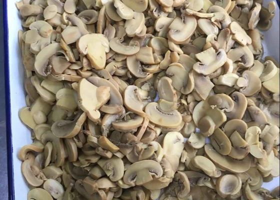 Bevat paddenstoelen ingeblikt champignon paddenstoel gemakkelijk open deksel ideaal voor commerciële keukens en voedselverwerkende faciliteiten